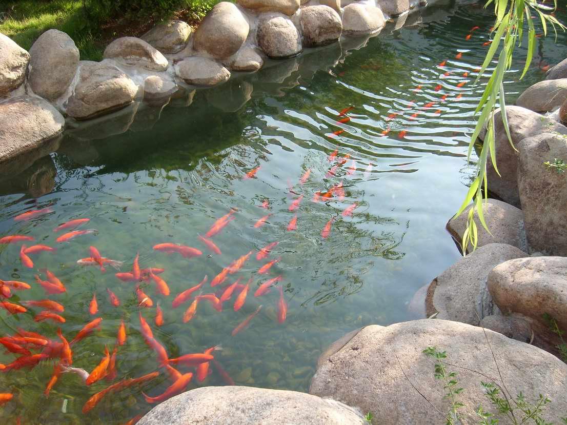 湖水净化处理系统